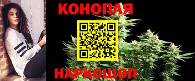 сатива Ангарск